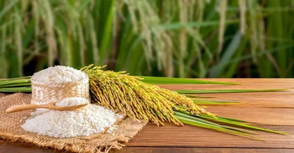 Equivalencia de una cucharada de arroz