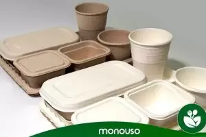 Reasons to use bagasse containers in the catering industry