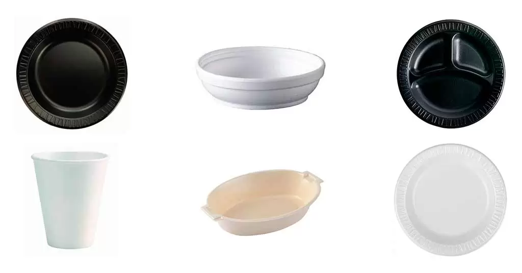 A Guide to Manufacturing Disposable Plates and Dishes – Nature Box